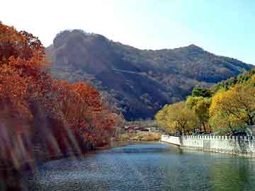 探索自然美景，探寻内心平静之旅，最新4虎影库启程