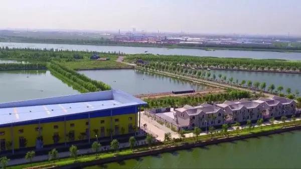 最新捕鱼技术揭秘，乘风破浪的学习之旅开启