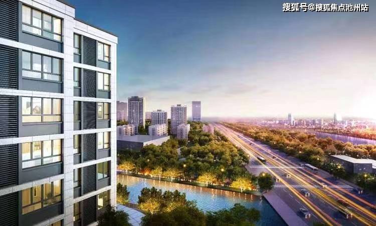 悠学派最新版深度解析与观点阐述全面探讨