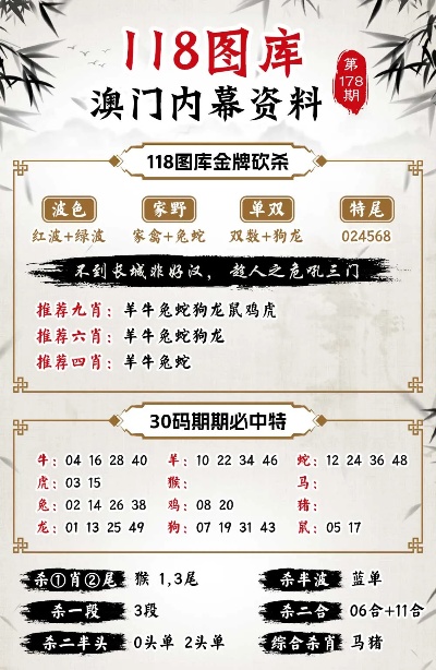 新澳门2024今晚开什么,快速处理计划_增强版50.686