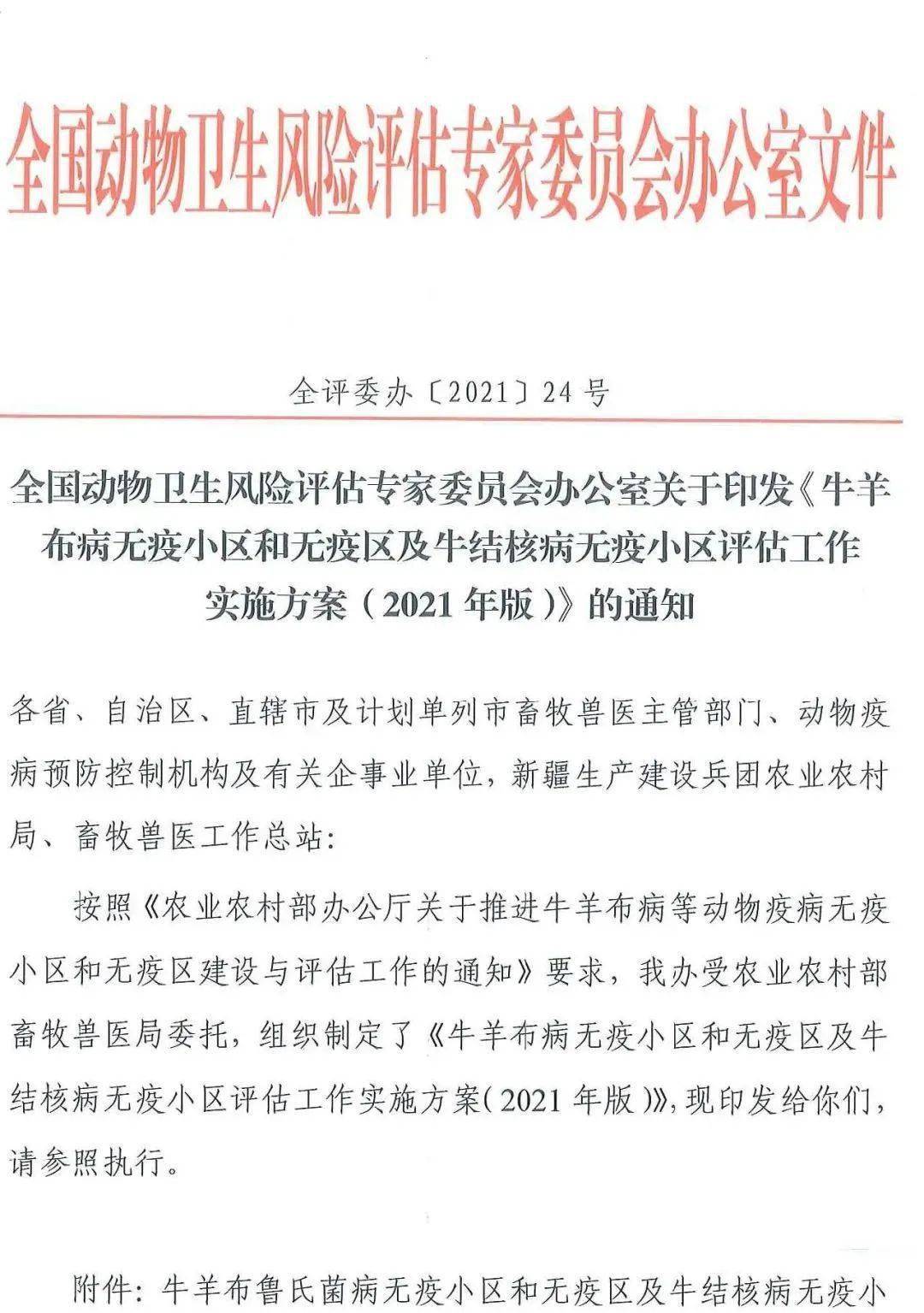 北京国油新能源 第426页