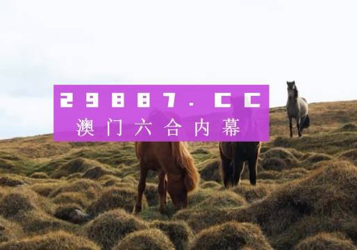 澳门精准2023一肖一码,数据解析引导_定制版46.773