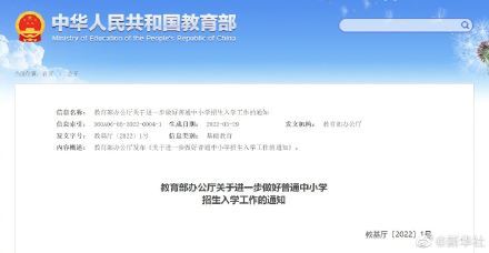 小城时光印记，年龄分类更新与温馨故事的演变