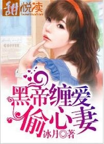 帝少宠妻七天七夜最新,实地应用实践解读_方便版94.293