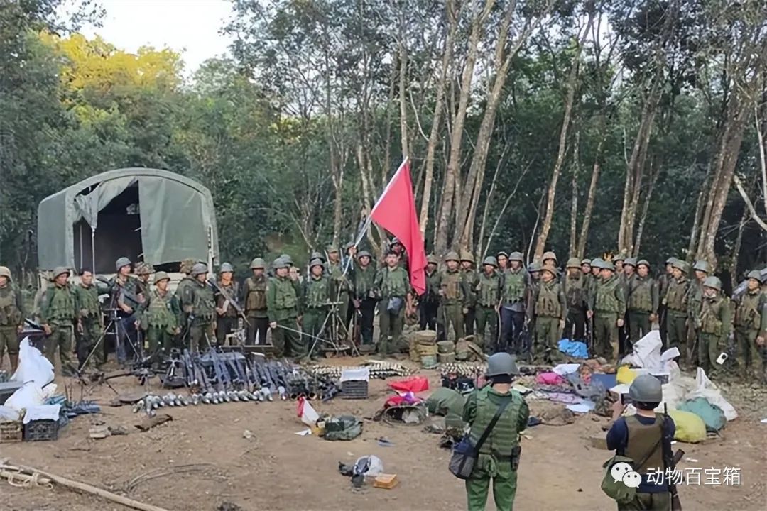 果敢最新,策略优化计划_分析版94.232