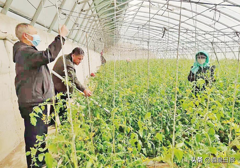 经济新闻最新,快速实施解答研究_潮流版94.447