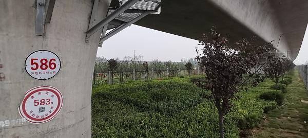 高铁新闻最新消息,科学解释分析_并行版94.399