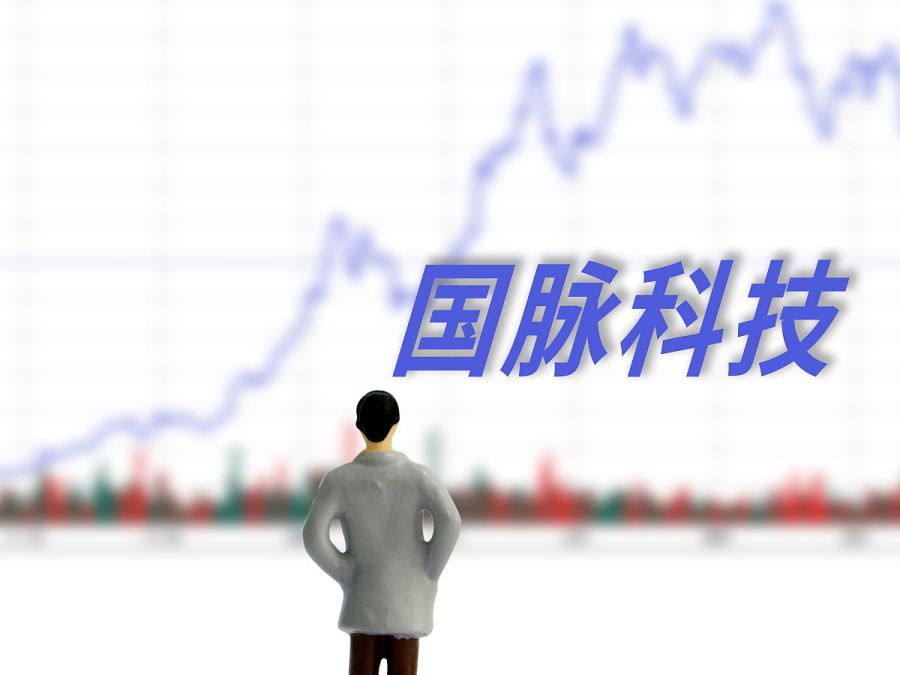 国脉科技引领科技前沿，最新动态揭秘未来发展🚀