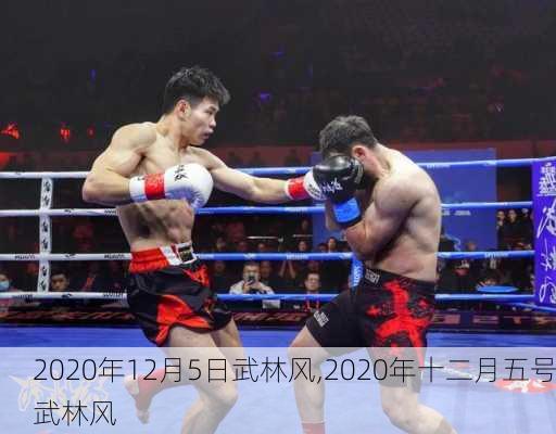 武一林风最新一期,定性解析明确评估_散热版23.610