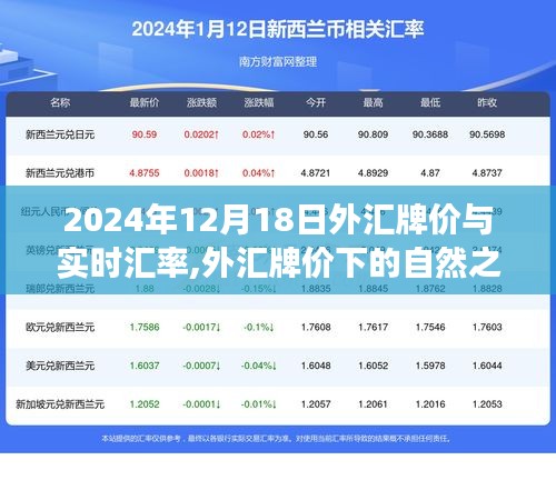 外汇最新查询，货币世界的探索与自我成长之旅