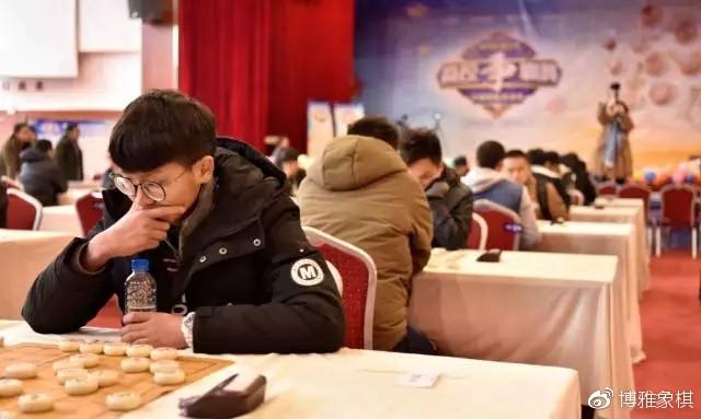 领悟棋牌最新版，从入门到精通的使用指南