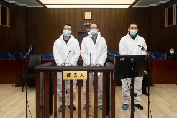 牛板金最新进展，科技引领金融未来，重塑生活体验