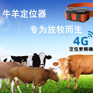 最新牛羊定位器，牧场上的精准追踪与温情守护