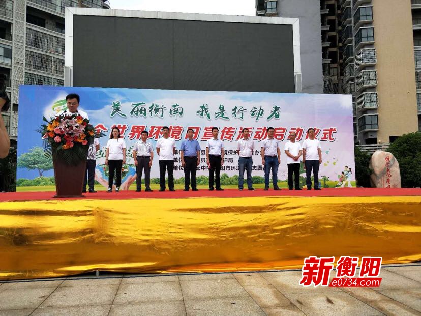衡南县最新领导班子观点论述及成员概览