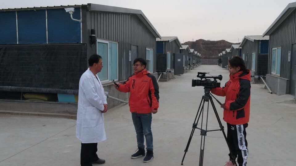 阜平王林口最新规划图，规划图与家的温馨日常展望