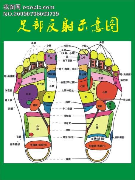 北京国油新能源 第243页