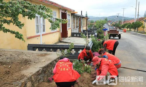 临港区草庙子最新招工信息，探索自然美景的旅行邀请启航