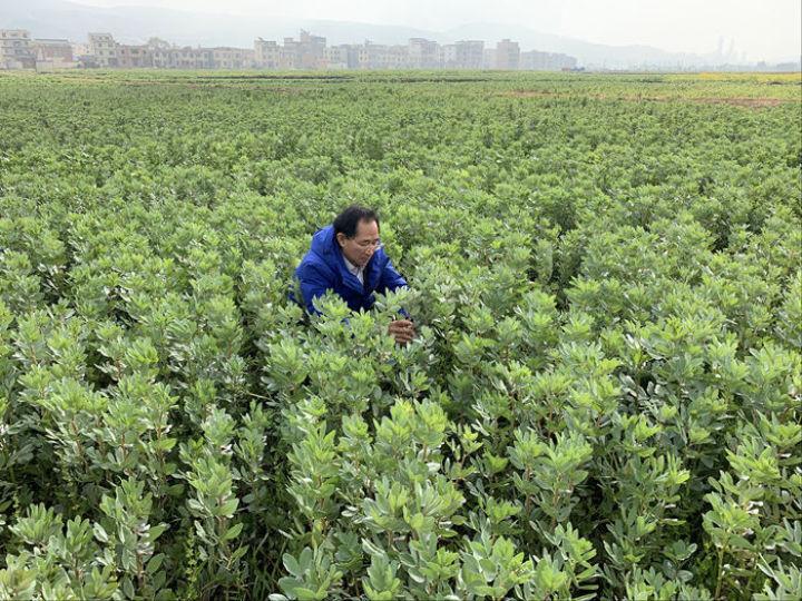 最新麒麟区天气预报，风景变化中的自信与成就之路