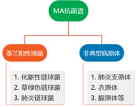 最新抗生素的临床应用进展及研究概述