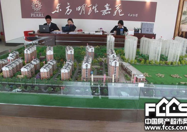 东方明珠嘉苑最新动态揭秘，市场热议与个人观点综述