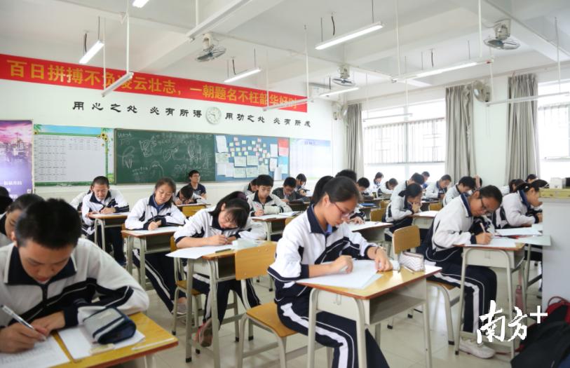 深圳龙岗宝龙最新招聘，启程探索自然美景之旅的职场机遇