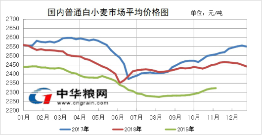 济宁小麦市场价格走势分析，最新市场动态报告