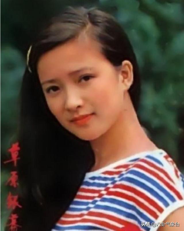 何晴，演艺之路的璀璨之星闪耀光芒