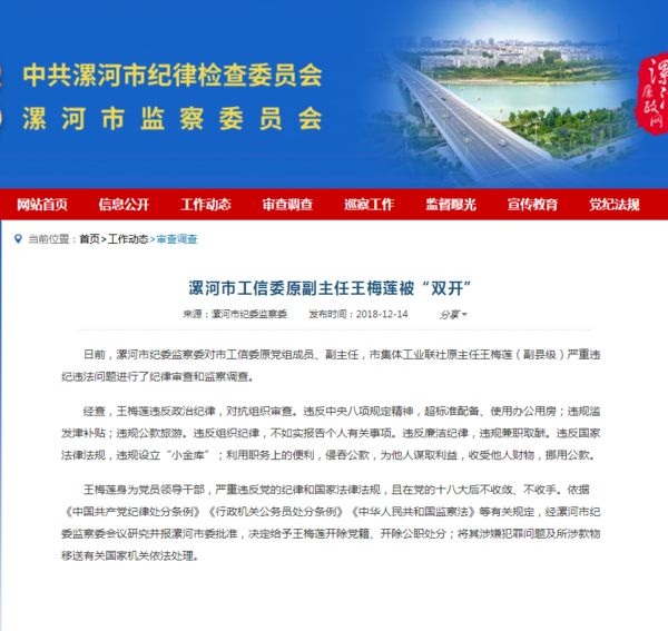 漯河市干部任免信息深度解读与观点阐述