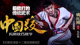 修斗比赛，竞技精神的展现与挑战与突破