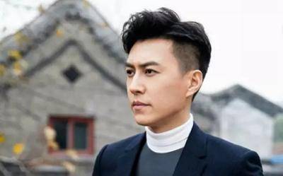 靳东演员表深度解析与观点阐述