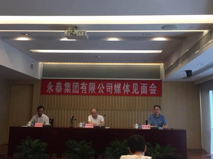 永泰能源股票走势深度分析与展望，未来趋势展望及投资前景评估