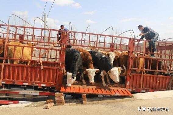新能源汽车 第168页