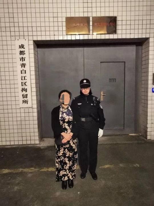 成都青白江最新科技住宅项目，未来生活蓝图揭晓