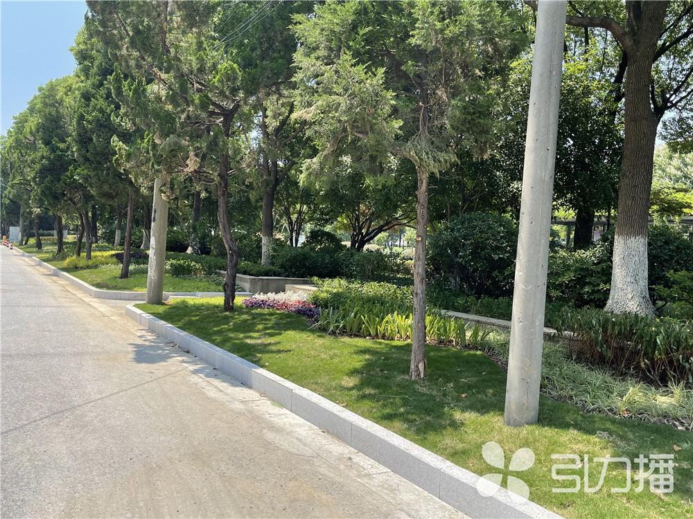 天翼汽车价格探索之旅，自然美景与内心宁静的追寻
