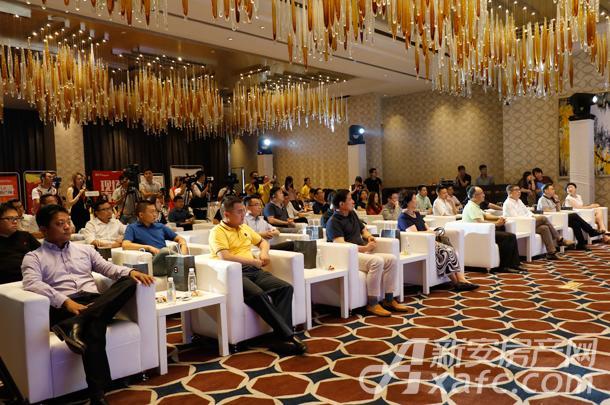 合肥新站最新动态，揭秘其影响及一种观点分析