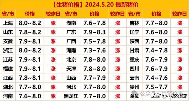 最新猪价走势分析与观点论述，市场趋势揭秘