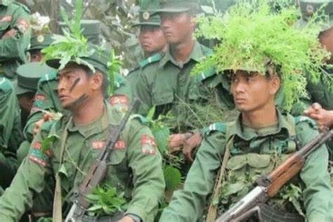 残疾军人最新政策，轻松探索自然美景的旅程