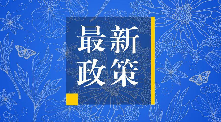 蒜片最新价格走势，机遇与挑战中的自信与成就感之源