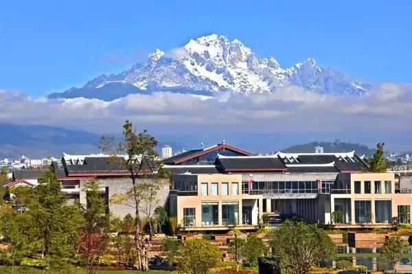 新华都最新动态，历史发展、当代地位与最新消息