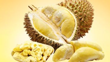 榴莲视频最新版，探索最新特色，畅享视听盛宴