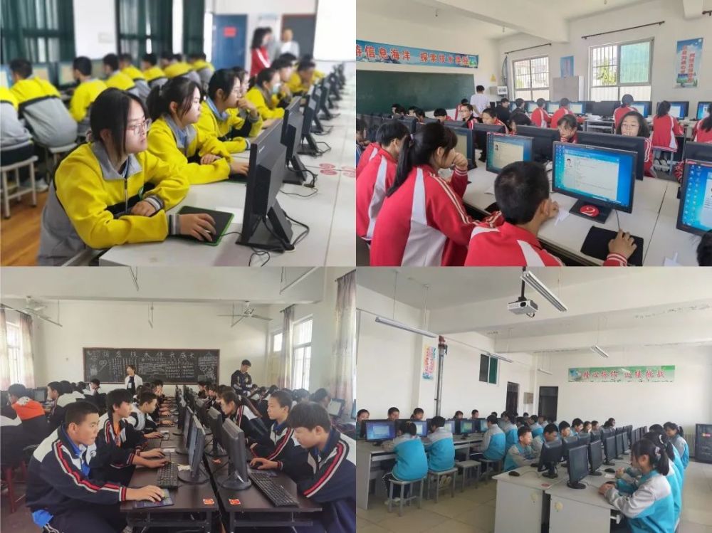 茌平任务完成与技能学习指南，从初学者到进阶用户的实用指南