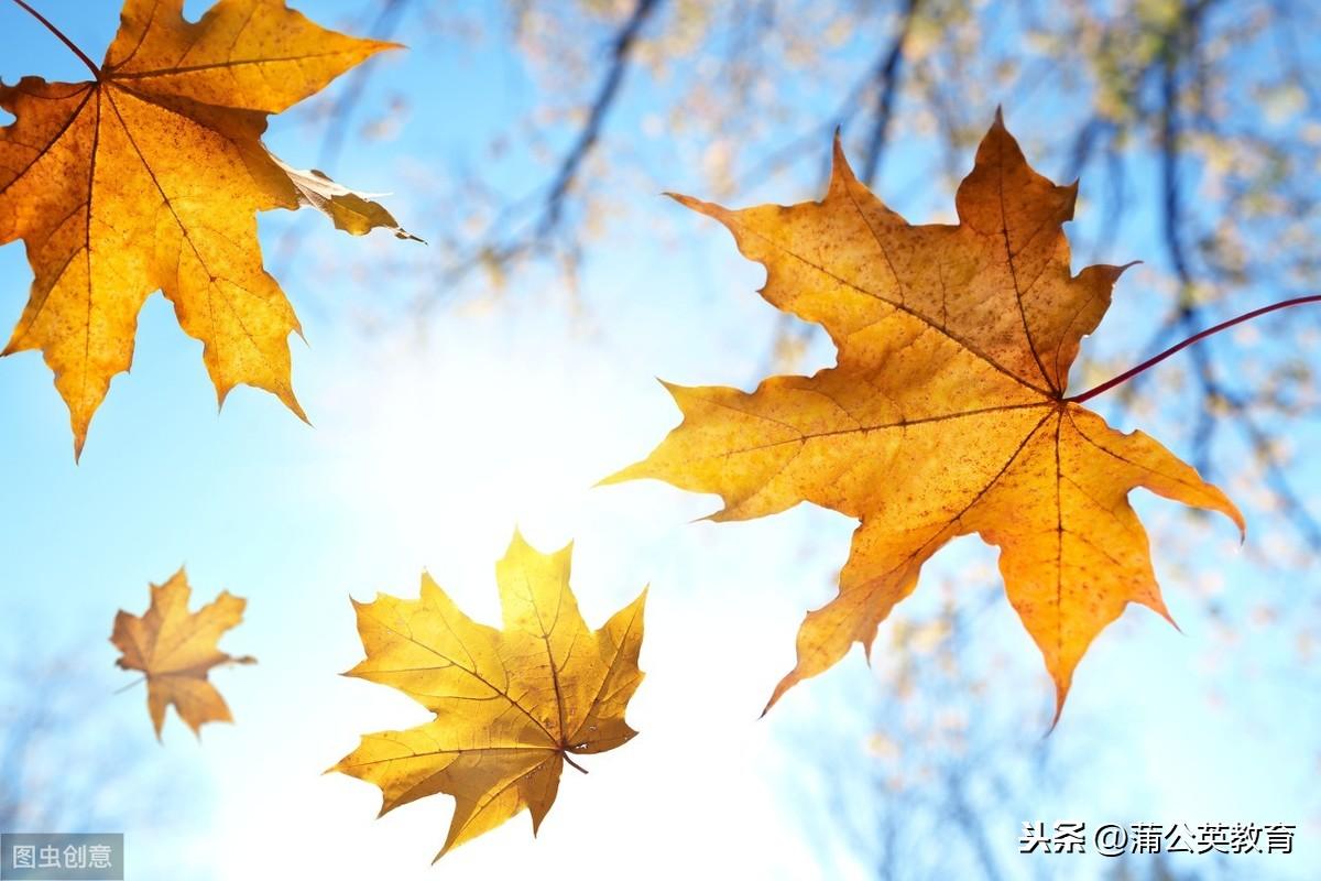 韩三千最新更新，探索自然美景之旅，寻找内心平和的旅程