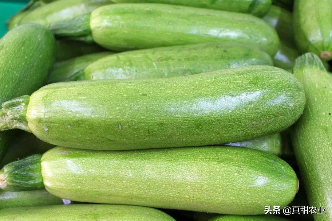 尖椒价格行情更新，最新市场动态及趋势分析🌶️