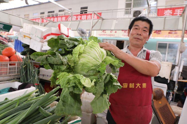 大白菜价格最新动态，一颗白菜如何引领我们走向自信与成就之路