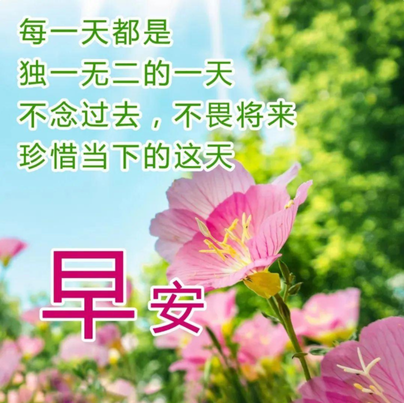 晨光中的温情日常，最新早上好动图分享