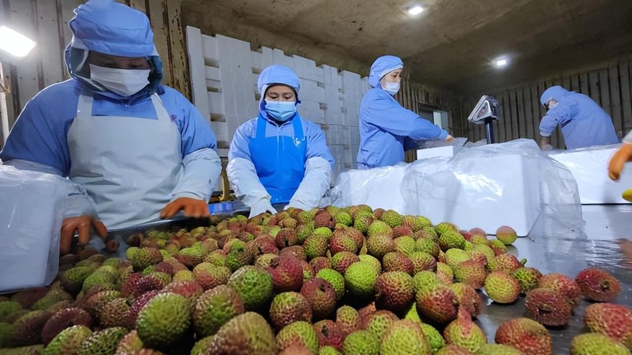 电白最新新闻，引领科技潮流，全新高科技产品震撼发布！