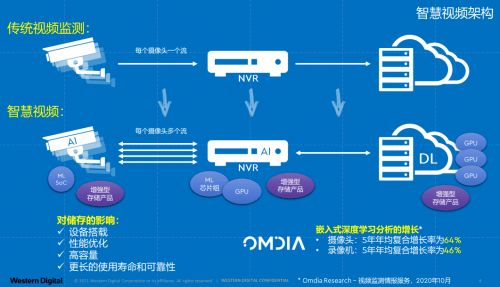 最新筏钓视频，技术、策略与乐趣的完美融合