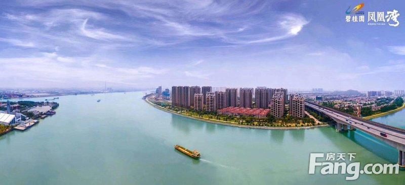 凤凰湾最新房价指南，全面解析当前房价趋势与购房指南