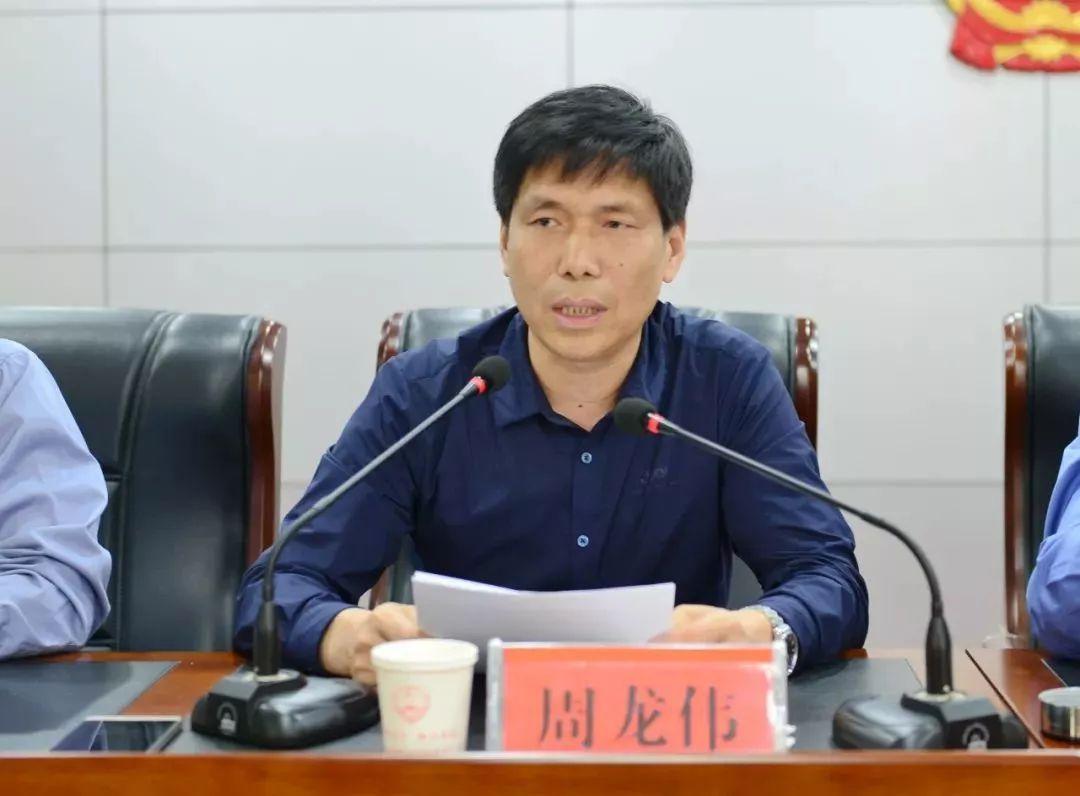 机构改革最新进展动态更新
