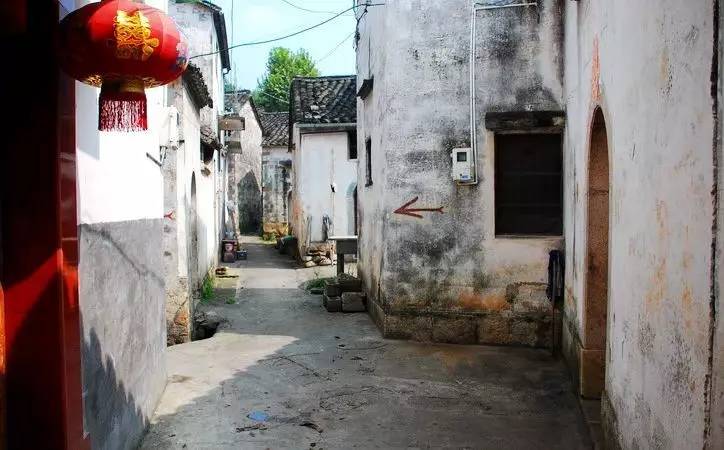 最新部编版，小巷深处的隐藏瑰宝